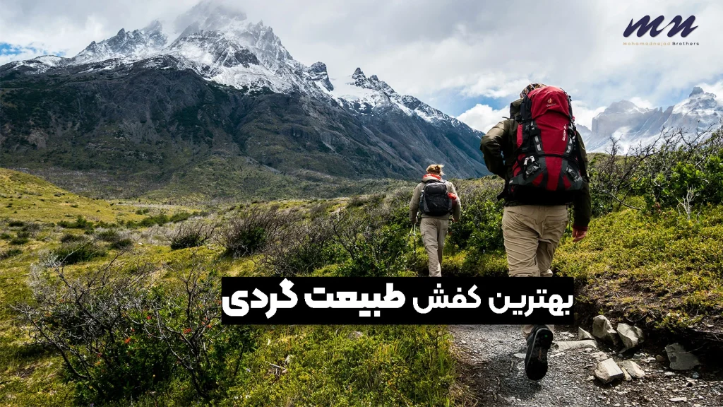 بهترین کفش طبیعت گردی